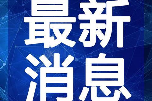老吴爆料老林视频大全最新,老林视频大全最新爆料，精彩瞬间一网打尽！