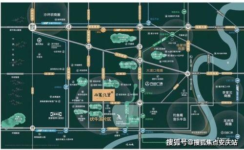 重庆口罩爆料案件最新消息,真相逐步浮出水面